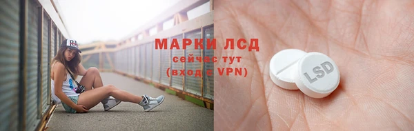 прущие грибы Алексеевка