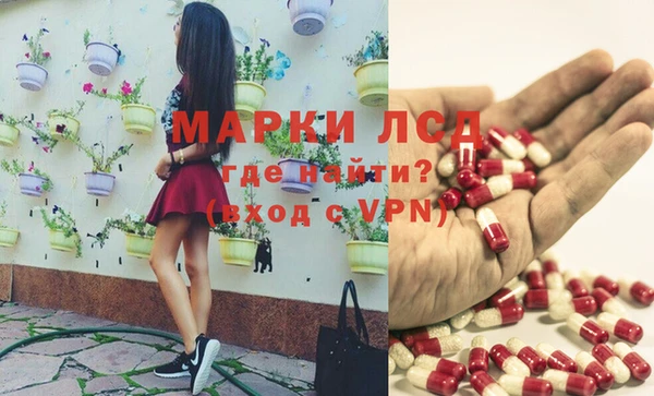 крисы Алзамай