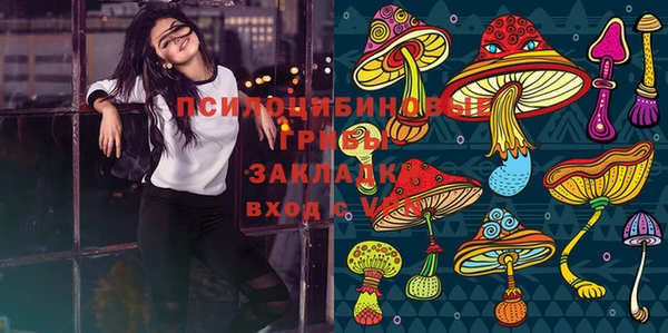 крисы Алзамай