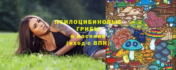 прущие грибы Алексеевка