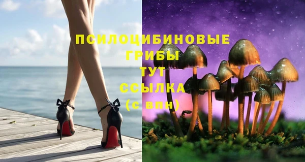 прущие грибы Алексеевка