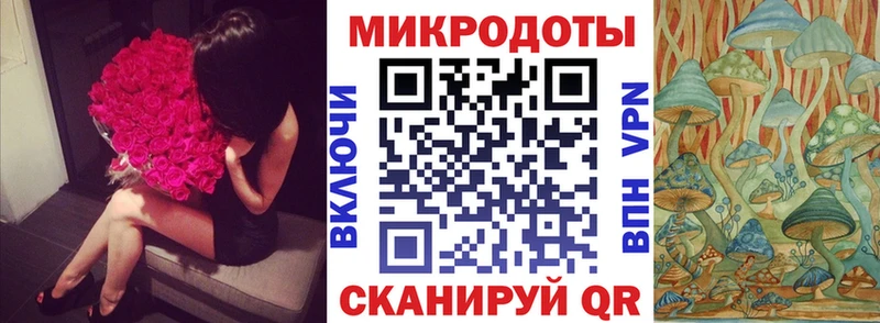 наркошоп  Ликино-Дулёво  Псилоцибиновые грибы Psilocybe 